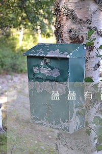 盈盈有钱逾期两天 盈盈有钱逾期两天