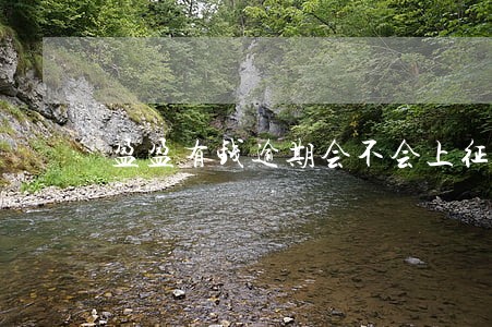 盈盈有钱逾期会不会上征信 盈盈有钱逾期会不会上征信