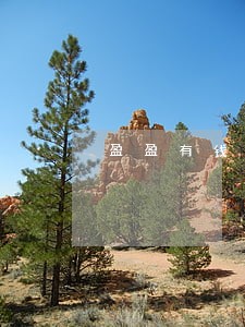 盈盈有钱逾期后果 盈盈有钱逾期后果