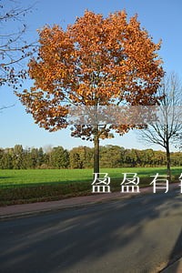 盈盈有钱逾期扣多少钱 盈盈有钱逾期扣多少钱