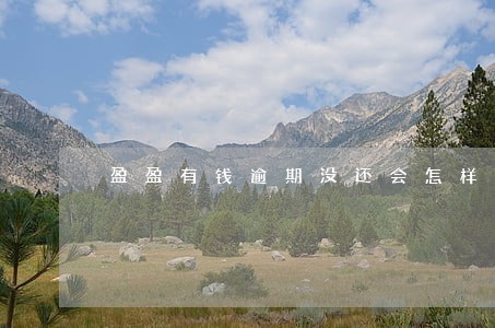 盈盈有钱逾期没还会怎样 盈盈有钱逾期没还会怎样