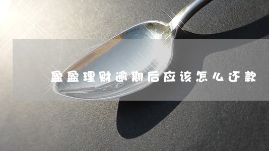 盈盈理财逾期后应该怎么还款 盈盈理财逾期后应该怎么还款