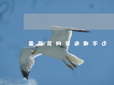 盈花花网贷逾期不还 盈花花网贷逾期不还
