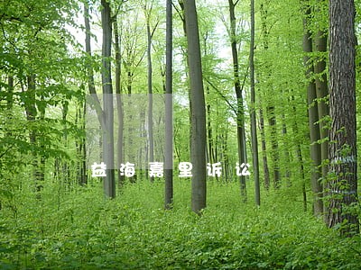 益海嘉里诉讼 益海嘉里诉讼