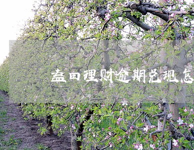 益田理财逾期兑现怎么办 益田理财逾期兑现怎么办