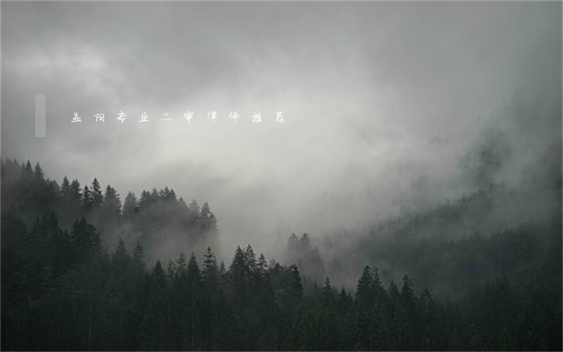 益阳专业二审律师推荐 益阳专业二审律师推荐