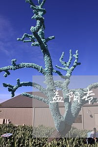 益阳专业二审律师收费 益阳专业二审律师收费