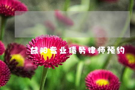 益阳专业债务律师预约 益阳专业债务律师预约