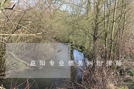 益阳专业债务纠纷律师 益阳专业债务纠纷律师