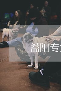 益阳专业债权债务律师咨询电话 益阳专业债权债务律师咨询电话