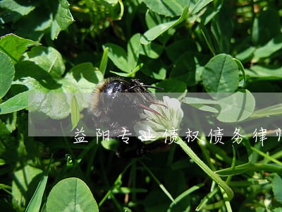 益阳专业债权债务律师哪个好 益阳专业债权债务律师哪个好