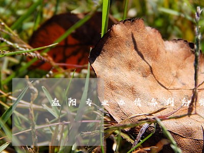 益阳专业办债务纠纷律师预约 益阳专业办债务纠纷律师预约