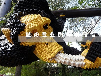 益阳专业的车祸赔偿律师 益阳专业的车祸赔偿律师