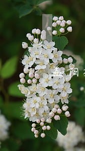 益阳交警严查教练车交通违法行为 益阳交警严查教练车交通违法行为