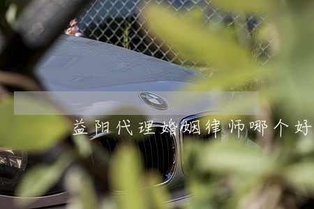 益阳代理婚姻律师哪个好