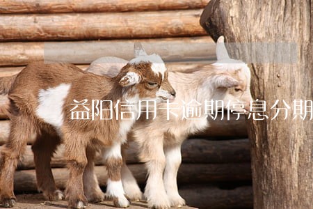 益阳信用卡逾期停息分期怎么协商 益阳信用卡逾期停息分期怎么协商