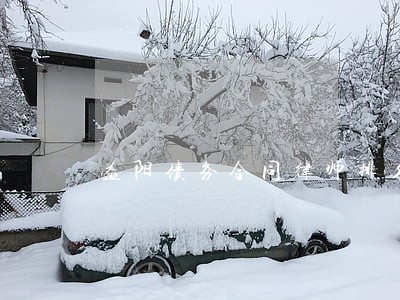 益阳债务合同律师排名 益阳债务合同律师排名