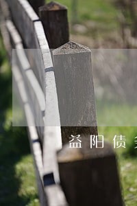 益阳债务合同律师网站 益阳债务合同律师网站
