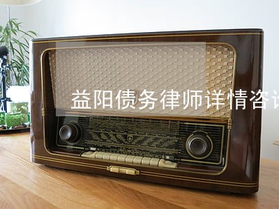 益阳债务律师详情咨询 益阳债务律师详情咨询