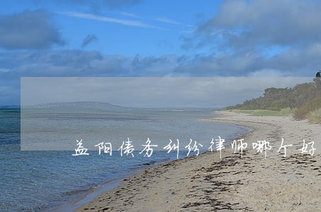 益阳债务纠纷律师哪个好 益阳债务纠纷律师哪个好