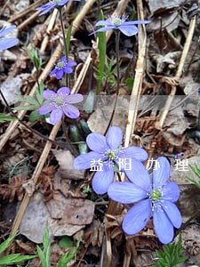 益阳办理离婚律师收费 益阳办理离婚律师收费
