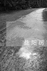 益阳厉害的债务纠纷律师 益阳厉害的债务纠纷律师