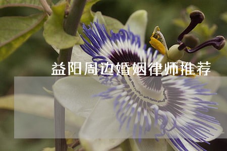 益阳周边婚姻律师推荐