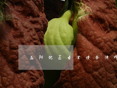 益阳地区专业债务律师联系方式 益阳地区专业债务律师联系方式