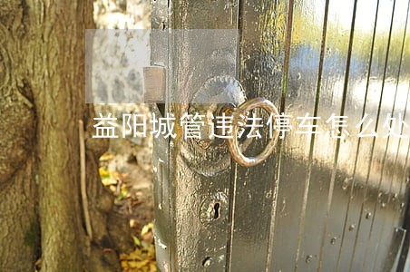 益阳城管违法停车怎么处罚