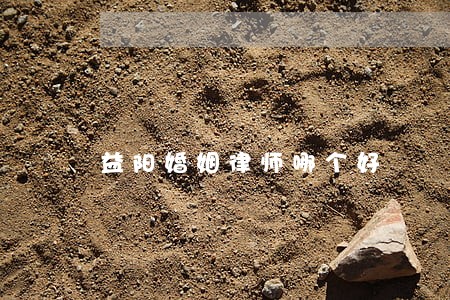 益阳婚姻律师哪个好 益阳婚姻律师哪个好