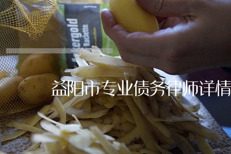 益阳市专业债务律师详情咨询 益阳市专业债务律师详情咨询