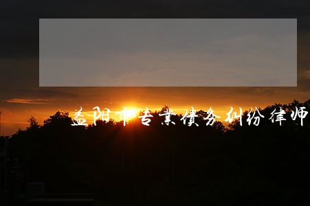 益阳市专业债务纠纷律师咨询专线 益阳市专业债务纠纷律师咨询专线