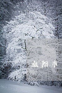 益阳市专业的债务律师多少钱 益阳市专业的债务律师多少钱