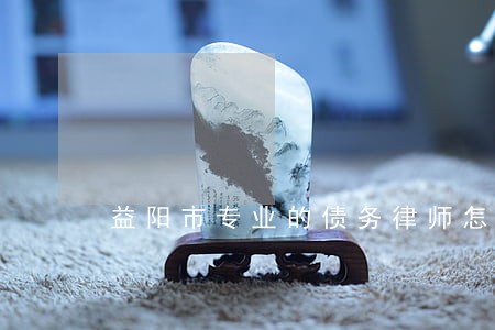 益阳市专业的债务律师怎么收费 益阳市专业的债务律师怎么收费
