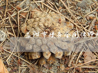 益阳市债务合同律师排名 益阳市债务合同律师排名