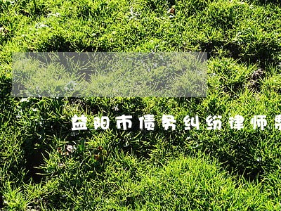 益阳市债务纠纷律师费用咨询 益阳市债务纠纷律师费用咨询