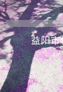 益阳市债权债务律师微信咨询 益阳市债权债务律师微信咨询