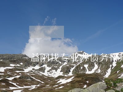 益阳找专业办债务律师找谁 益阳找专业办债务律师找谁