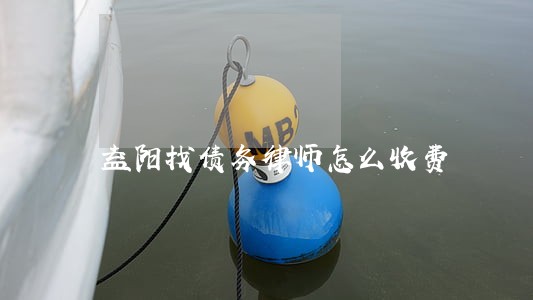 益阳找债务律师怎么收费 益阳找债务律师怎么收费