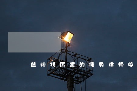 益阳找厉害的债务律师收费标准 益阳找厉害的债务律师收费标准