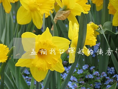 益阳找口碑好的债务律师预约 益阳找口碑好的债务律师预约