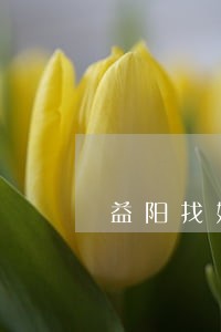益阳找婚姻律师哪个好 益阳找婚姻律师哪个好