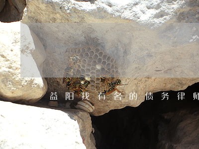 益阳找有名的债务律师找谁 益阳找有名的债务律师找谁