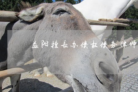 益阳擅长办债权债务律师推荐 益阳擅长办债权债务律师推荐