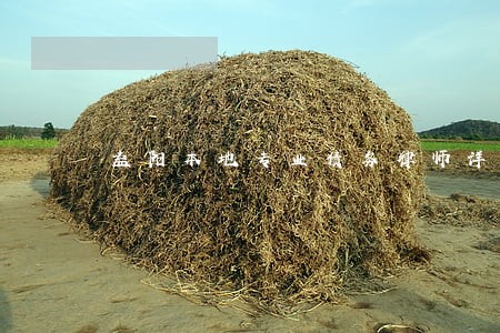 益阳本地专业债务律师详情咨询 益阳本地专业债务律师详情咨询
