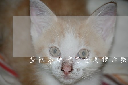 益阳本地债务合同律师联系方式 益阳本地债务合同律师联系方式