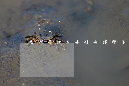 益阳本地民事债务律师多少钱 益阳本地民事债务律师多少钱