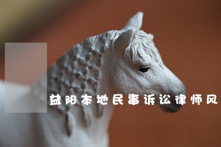益阳本地民事诉讼律师风险代理 益阳本地民事诉讼律师风险代理