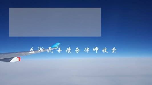益阳民事债务律师收费 益阳民事债务律师收费