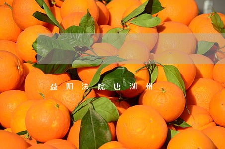 益阳法院唐湖州
